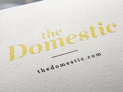 Domestic Branding brand identity logo typography