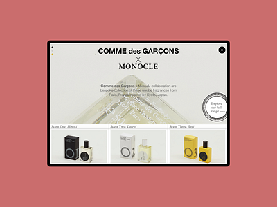 Comme des Garcons x Monocle