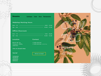 Botanista Contacts Page botanical contact page contacts daily ui daily ui dailyui design greenery ui web webdesign website