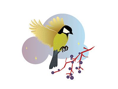 Bird adobeillustrator branding design flat flatillustration graphicdesign icon illustration logo vector