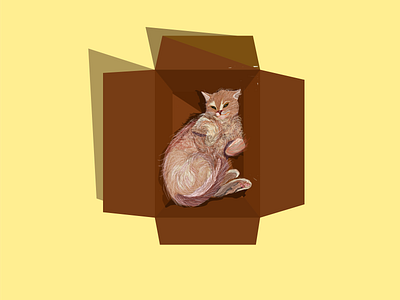 Cat loves Box box design carton cartoons catalog cats creative design design flat flatdesign graphic illustration love ui