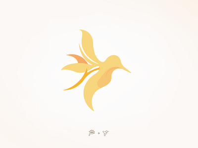 Hummingbird variation brand identity branding branding design design graphic design illustration logo logodesign logotype vector