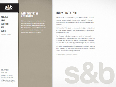 S&B accounting black sb accounting warmgrey webdesign website website template white