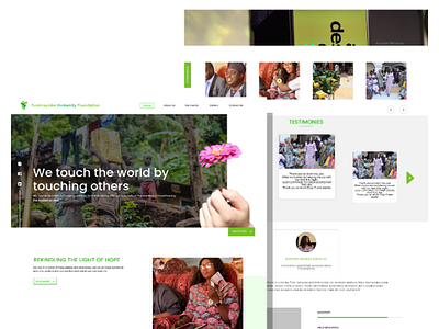 NGO website design