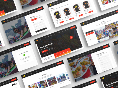 Bole Festival Website dailui design ui ux uxui