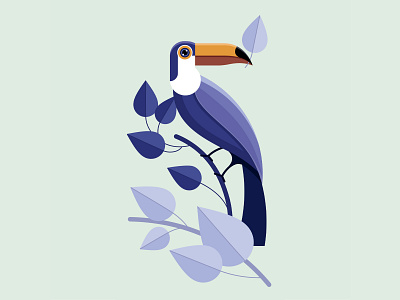 Toucan bird flat illustration nature toucan vector