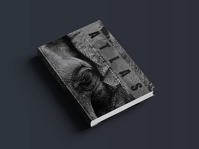 Book cover design cover design elephant hardcover