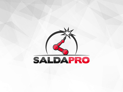 SaldaPro branding design flat illustration lettering logo type typography vector