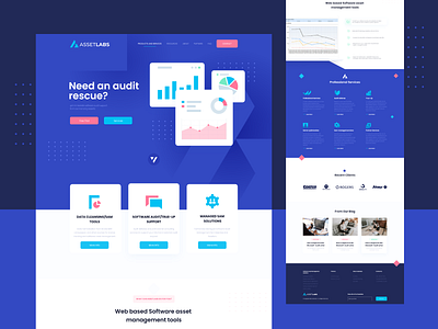 AssetsLabs Website Design analytic audit creative design flatdesign graphic saas software software company ui ux webdesign webdesigner webdevelopment website