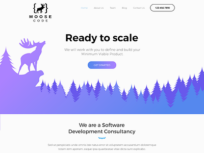 Moose Code Web Design