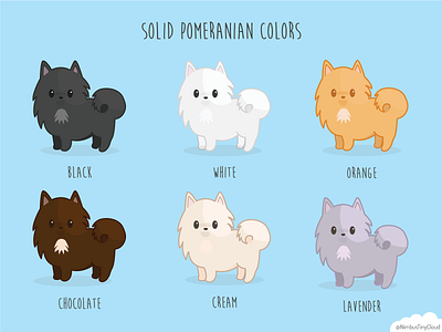 Pomeranian Colors character design cute art dog illustration kawaii pomeranian vector illustration