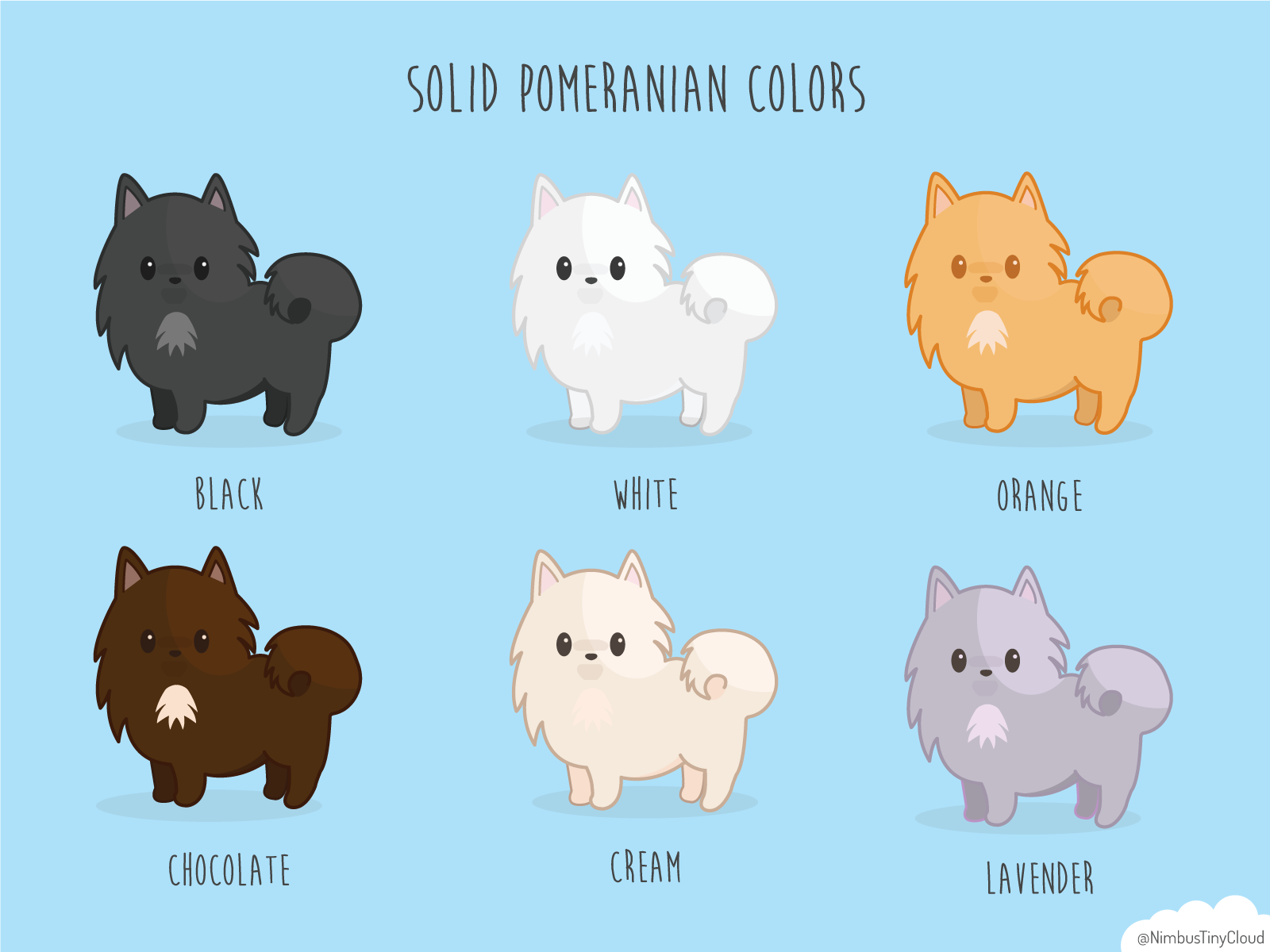Pomeranian Coat Colors Art Board Print ubicaciondepersonas.cdmx.gob.mx