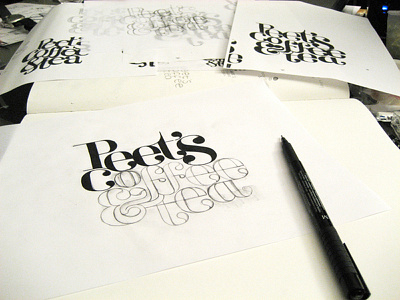 Peet's Coffee & Tea: a new logotype idea sketches hand lettering lettering logotype pencil sketch sketches