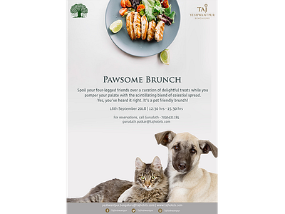 Brunch brunch design food food event illustration pet