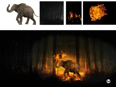 Flaming elephant adobe art beautiful brand branding design identity lettering nigeria people typography ui