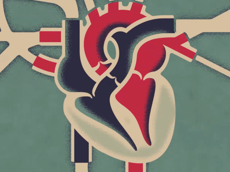 💙 HeartBeat ❤️ adobe aftereffects animated animation beat blood corazon cuerpo design heart human human body humano illustration illustrator motiongraphics vector vein