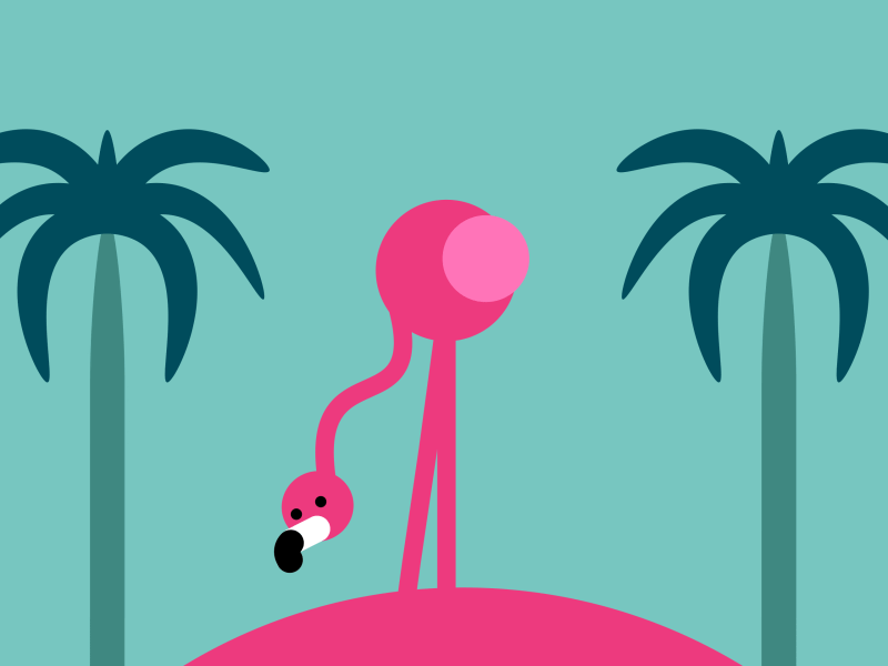 🦩 Flamingo Loop aftereffects animal animation bird design flamant flamenco illustration loop palm tree pink rose vector