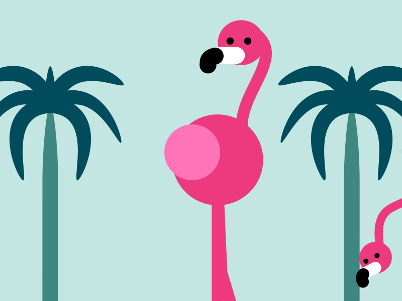 🦩 Flamant Rose aftereffects animal animation bird design flamingo illustration illustrator loop palm palmera rose tree vector