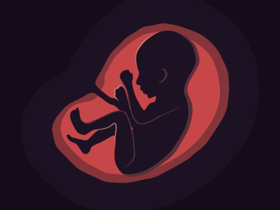 🤰🏻 Pregnancy 👶🏻 Fetal Development adobe aftereffects animated animation baby cord development fetal fetus gif illustration maternity motion motiongraphics pregnancy pregnant sperm vector