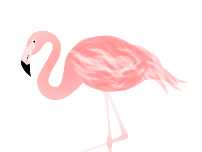 Flamingo animalphabet