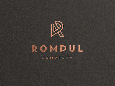 RD Monogram Logo brand branding for sale identity letterform logo monogram rd