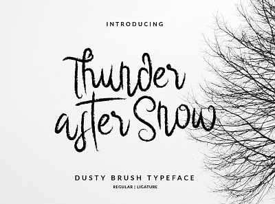Thunder After Snow Brush Font branding design font hand lettering handlettering illustration layout lettering typography vector