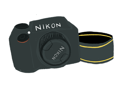 Nikon D340