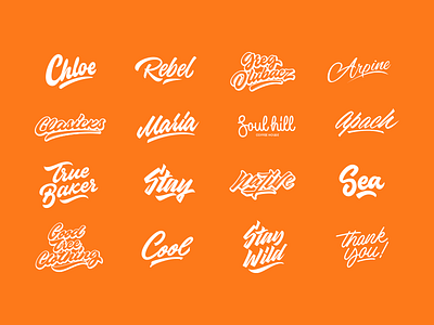 Lettering Collection by Yevdokimov Letters on Dribbble