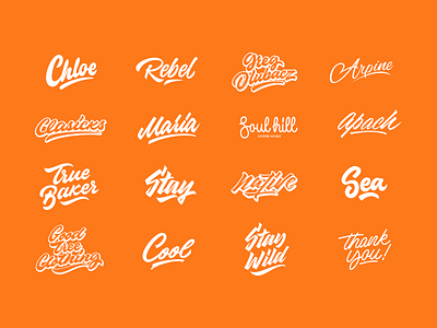 Lettering Collection branding calligraphy debut free hand lettering lettering logo logotype script type typo typography