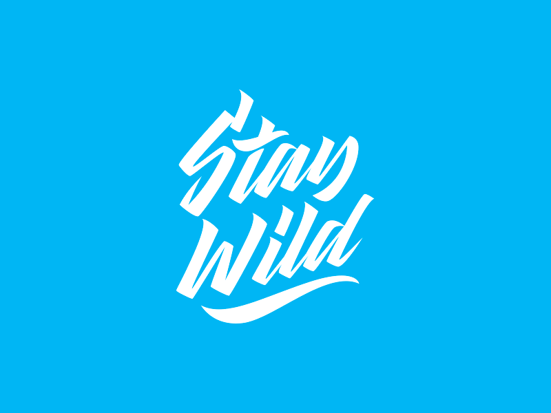 Wild logo. Логотип стей. Wild логотип. Стая логотип. Power stay лого.