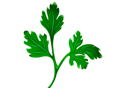Parsley branch background food fresh green healthy icon illustration ingredient leaf natural nature organic parsley plant raw realistic vector vegetable vegetarian white