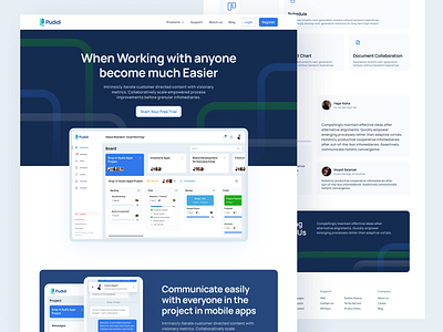 Pudidi SaaS Management Landing Pages