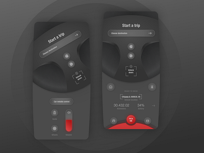 Remote Car Mobile App Concept