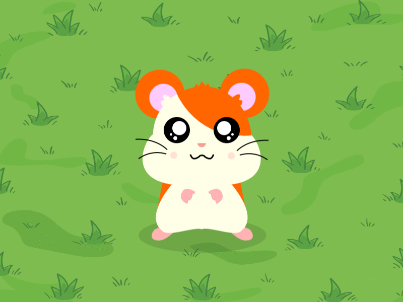 Animated Hamster after effects animated animation cartoon character cute gif hamster hamtaro illustration mascot sketch