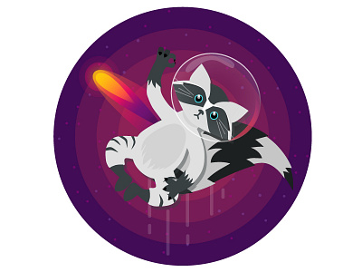 Space Raccoon adobe illustrator design flat hi illustration meteor raccon space star vector