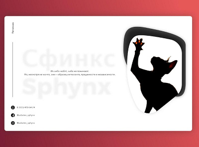 Sphynx cat design icon minimal typography ui web