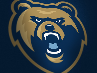 Pulaski Academy Bruin sports logo arkansas athletic bear bear head branding bruin design identity logo sports vector
