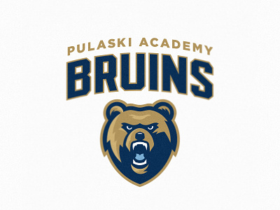 Pulaski Academy Bruins arkansas athletic bear bear head branding bruin design identity logo sports typography