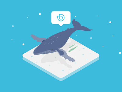 Blue Whale app blue whale branding deepblu design icon illustration scuba sea ui