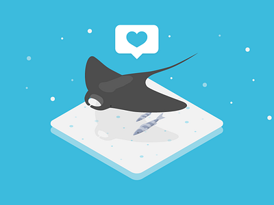 Manta Ray app branding deepblu design freediving icon illustration manta ray scuba sea ui