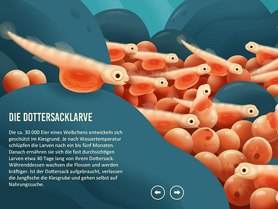 The way of the Atlantic Salomon environmental protection factual illustration illustration infographic salomon