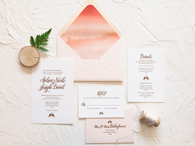 Andrea & Joe Wedding Invitations branding hand lettering stationery wedding design wedding invitations