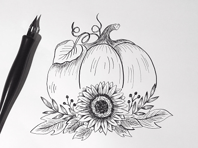 Pumpkin Illustration drawing illustration pen and ink pumpkin
