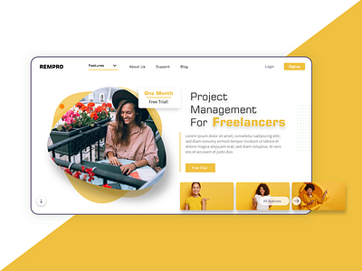 REMPRO Project Mangement Tools for Freelancers - Web Design design freelancer ui design web design