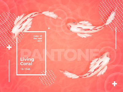 Koi Fish Pantone 2019 2019 color concept design fish illustration pantone vector