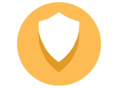 Shield Motion Icon