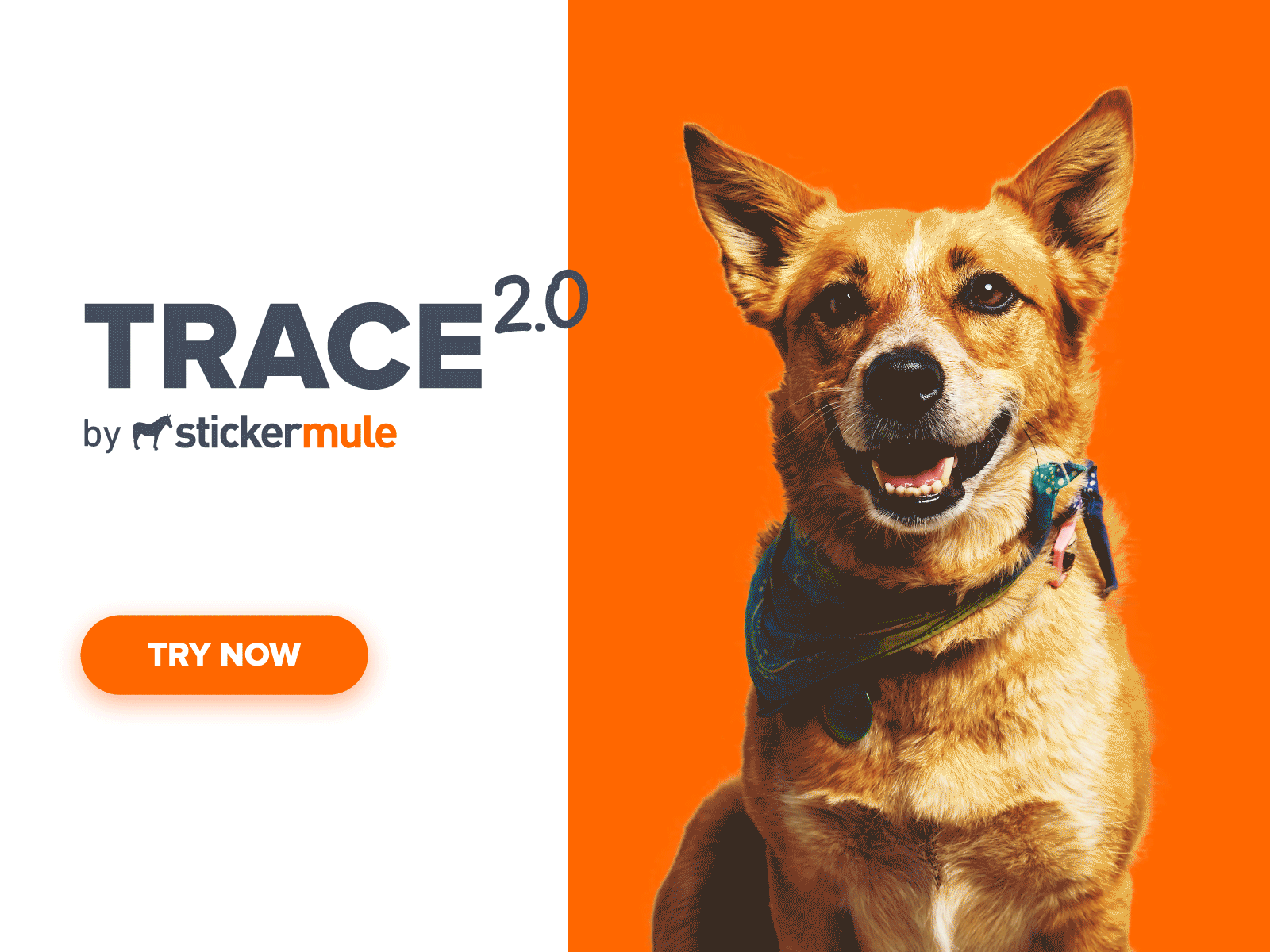 Trace 2.0 background removal free tool sticker mule trace