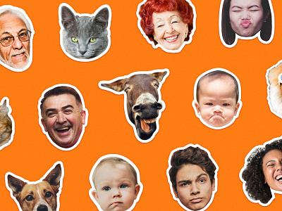 Introducing Faces by Sticker Mule