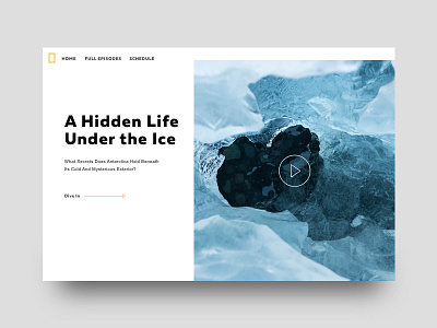 A Hidden Life design desktop image minimal typography ui ux video player