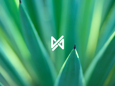 Myrtle design graphic icon logo nature plant type typography